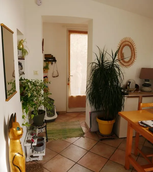 Photo 5