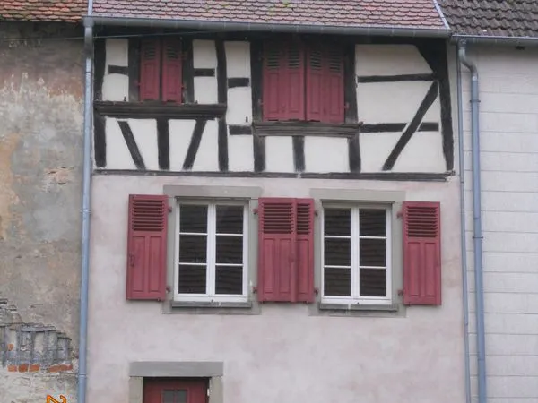 Maison + dépendance + jardin