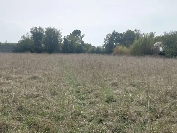 Terrain 447 m²