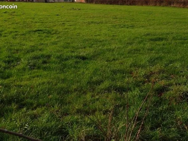 Terrain 905 m² Bosc Mesnil