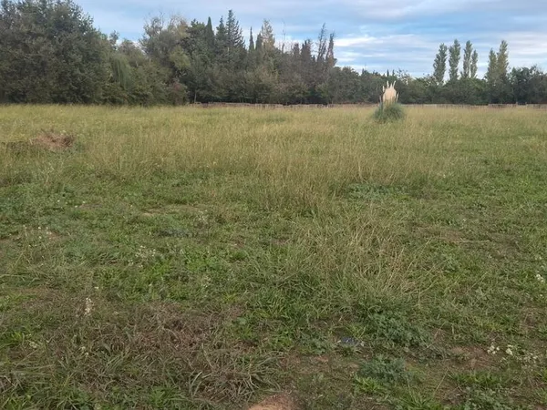 Terrain agricole plus de 6000m²