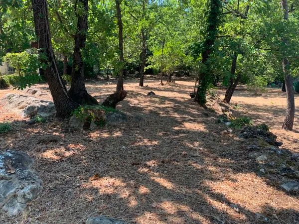 Terrain 1000 m²