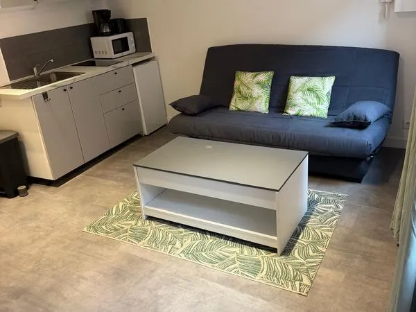Studio 1 pièce meublé 19 m² - Toulouse rue St-Charles - Au calme sur cour