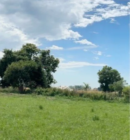 Terrain constructible 700m2 viabilisé - libre de constructeur - Châteauneuf d'Ille-et-Vilaine