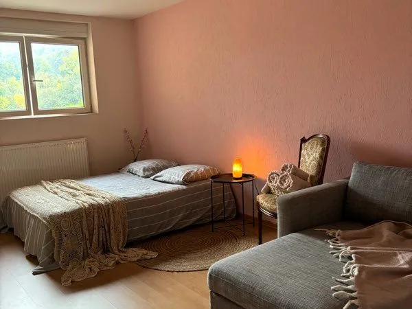 Chambre en collocation