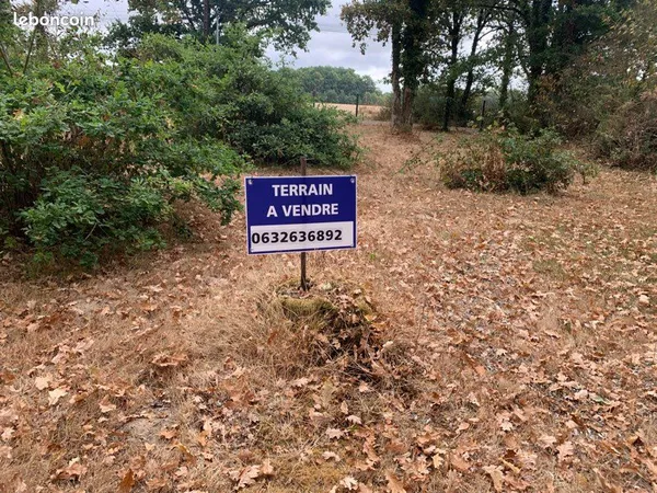Terrain constructible