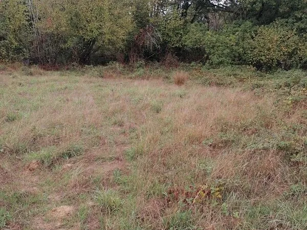 Loue terre agricole permaculture