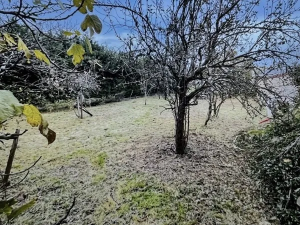 Terrain 620 m²