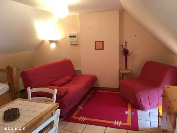 Studio 19m2 à louer à Besse et St Anastaise