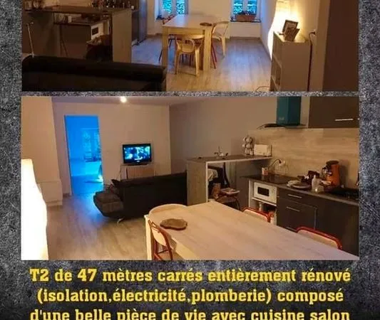 Appartement T2 47 m² rénové - Thiers