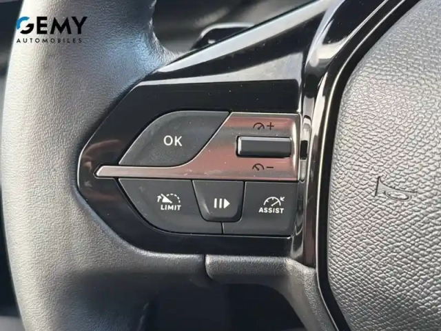 Peugeot 308 phev 180 e-eat8 — photo 12