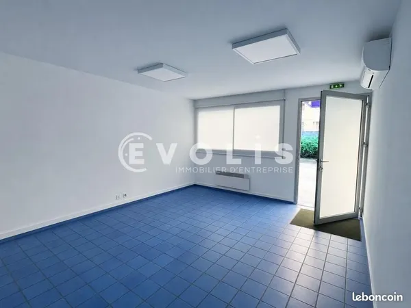 Local d'activité 564 m²