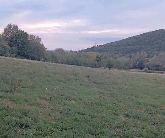Terrain agricole