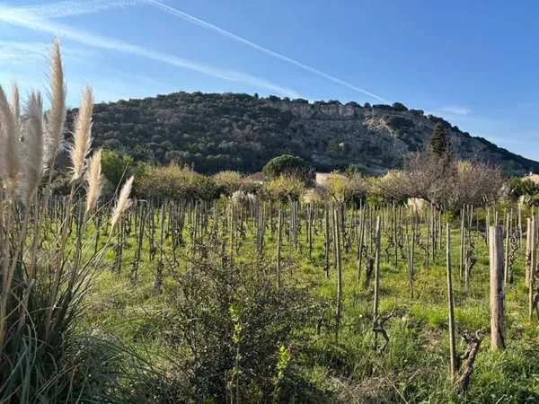 TERRAIN CONSTRUCTIBLE