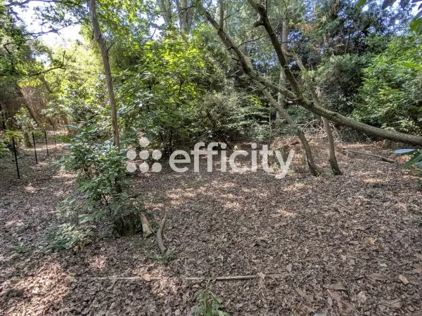 Terrain 1057 m²