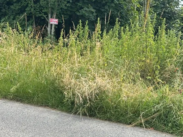 Terrain a vendre