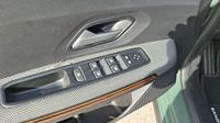 Dacia Sandero 1.0 ECO-G 100ch Stepway Extreme + — photo 12