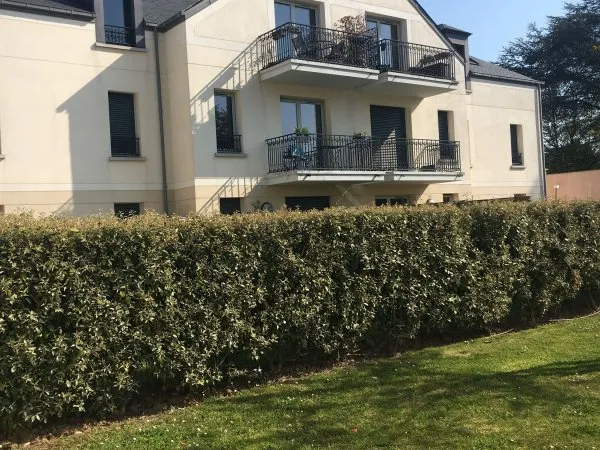 Loue appartement