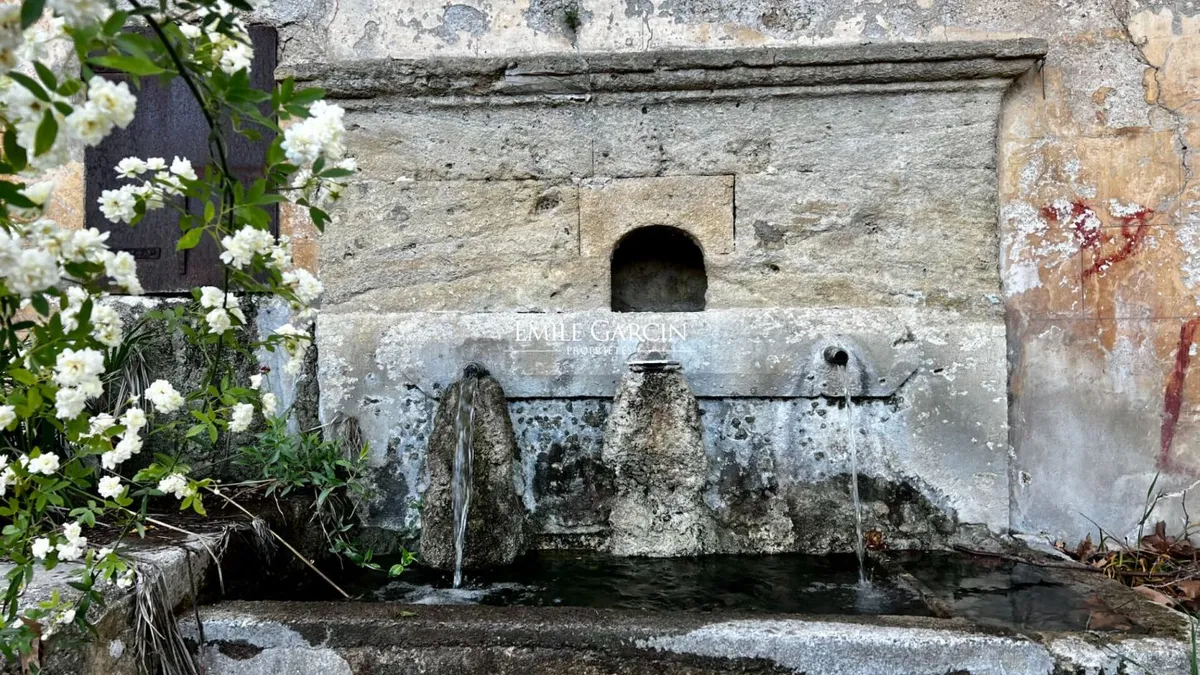 Photo 11