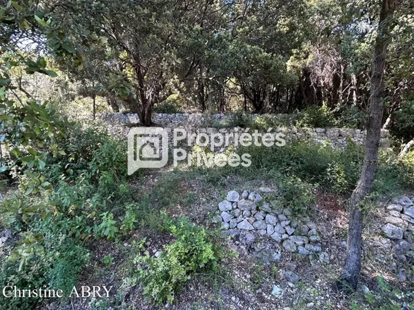 Terrain 2020 m2 Bargemon