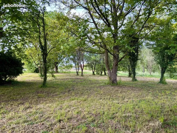 Terrain à bâtir