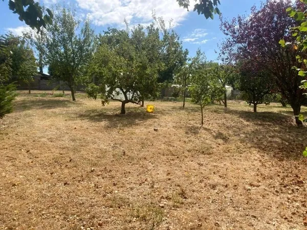 ? Terrain constructible ?̀ ?????? - Morieux