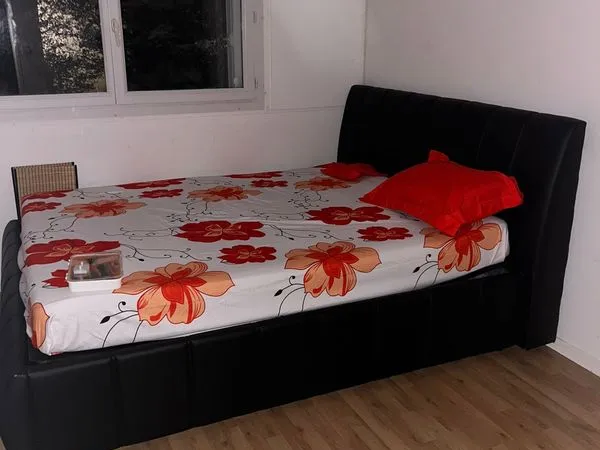 Colocation - chambre meublée 550 - Saint-Germain-en-Laye