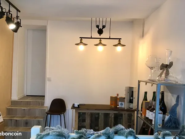 Boutique coeur de ville 43 m²