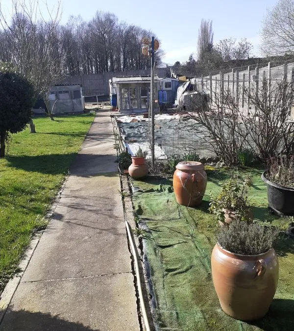Photo 3