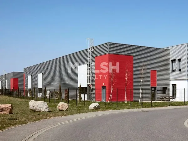 Local d'activité 598 m²