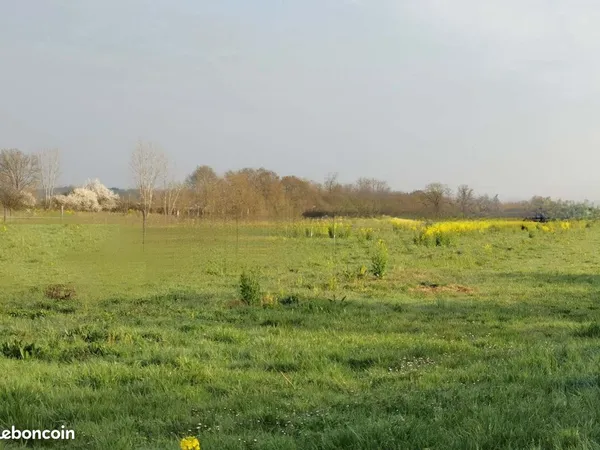 Parcelle terre