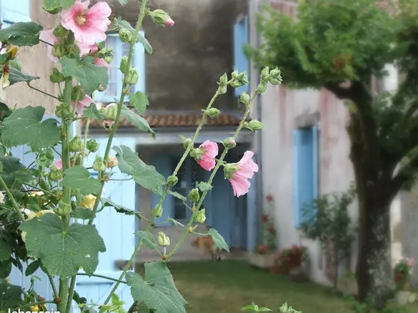 Maison de Maître au coeur d'un village ostréicole