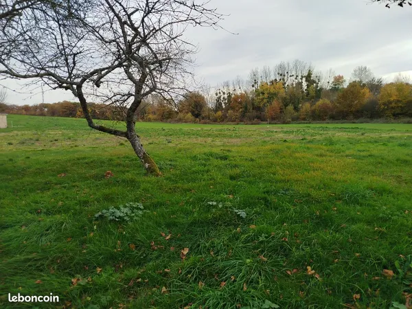 Beau terrain à bâtir au calme à Neuvy 51 (Marne)