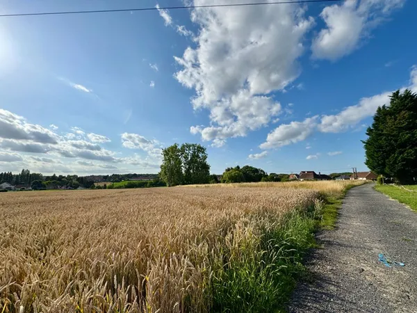 Terrain 4804 m²