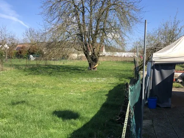 Maison 4 pièces 65 m²