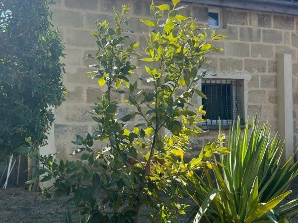 , maison en pierre 140 m² Dpe C