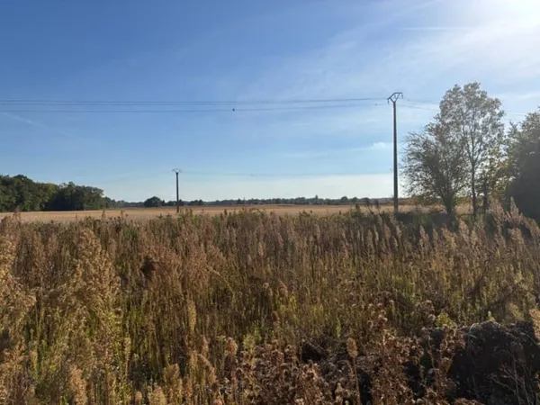 Terrain 483 m²