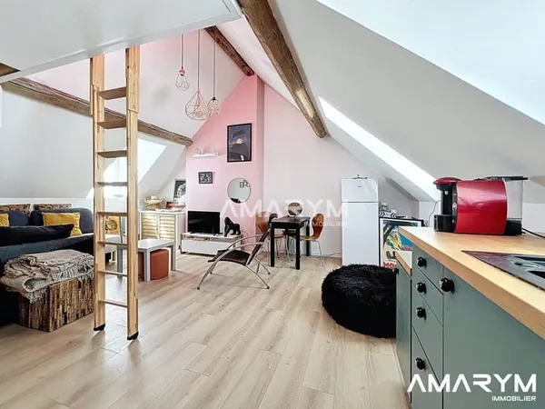 Appartement 1 pièce 19 m²