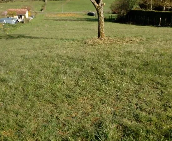 Terrain à vendre