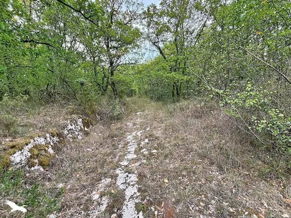 Terrain constructible 6303 m²