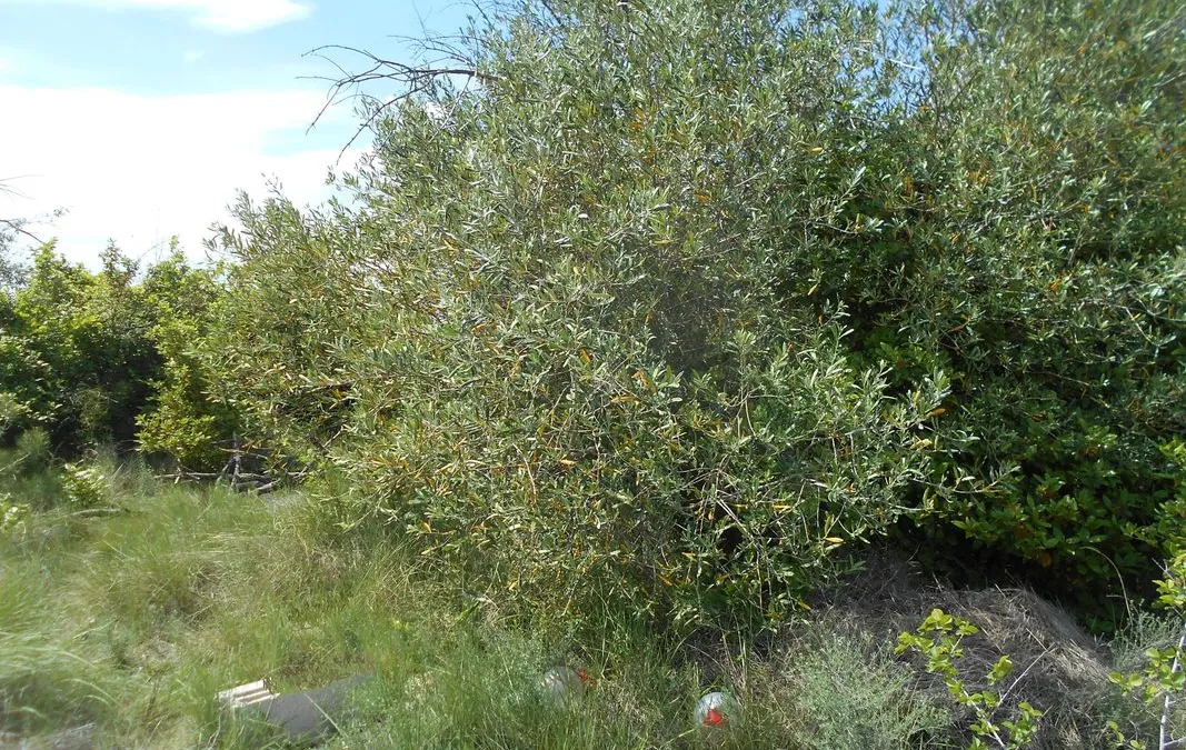 Photo 3