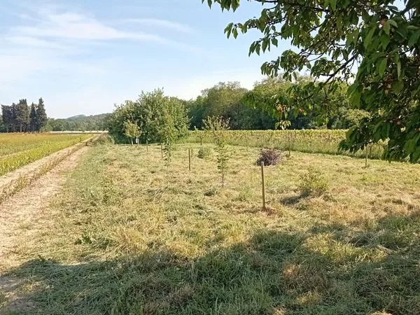 Terrain à vendre