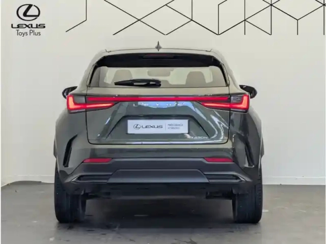Lexus Nx 450h+ 4wd executive — photo 5