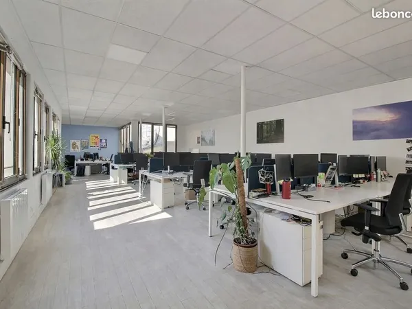 Bureaux 300 m²