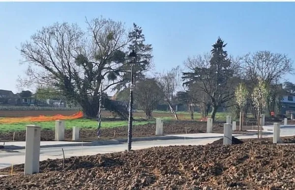 Terrain 541 m²