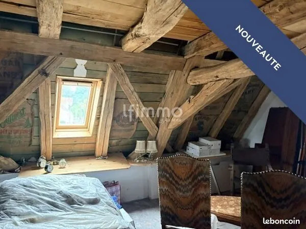 Maison en viager 6 pièces 292 m²