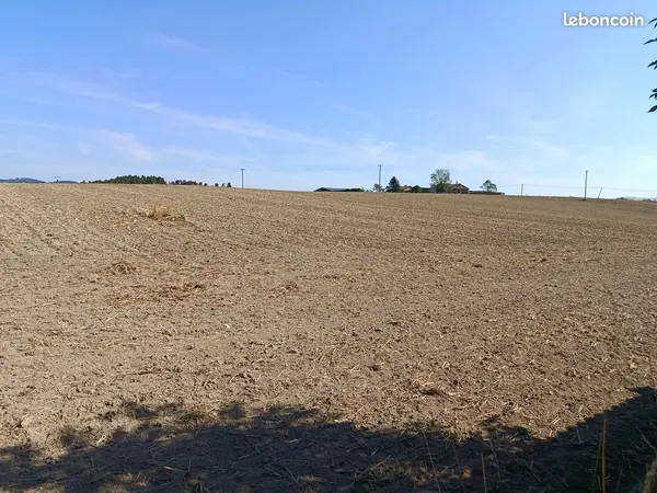 Vente terrain non constructible
