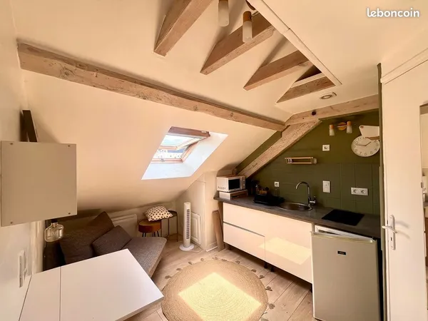 Studio meublé en duplex 18 m² — Quai de la Rize avec cave et local vélo
