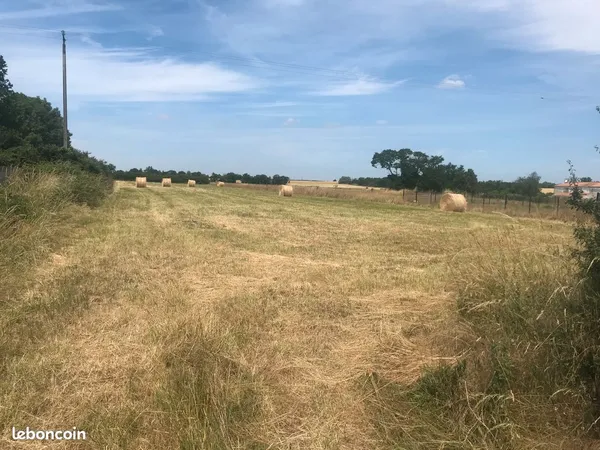 AV terrain 706 m2