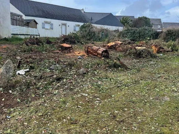 Maison 2 pièces 46 m²